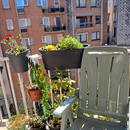 Cozy Near The Sea Apartament *